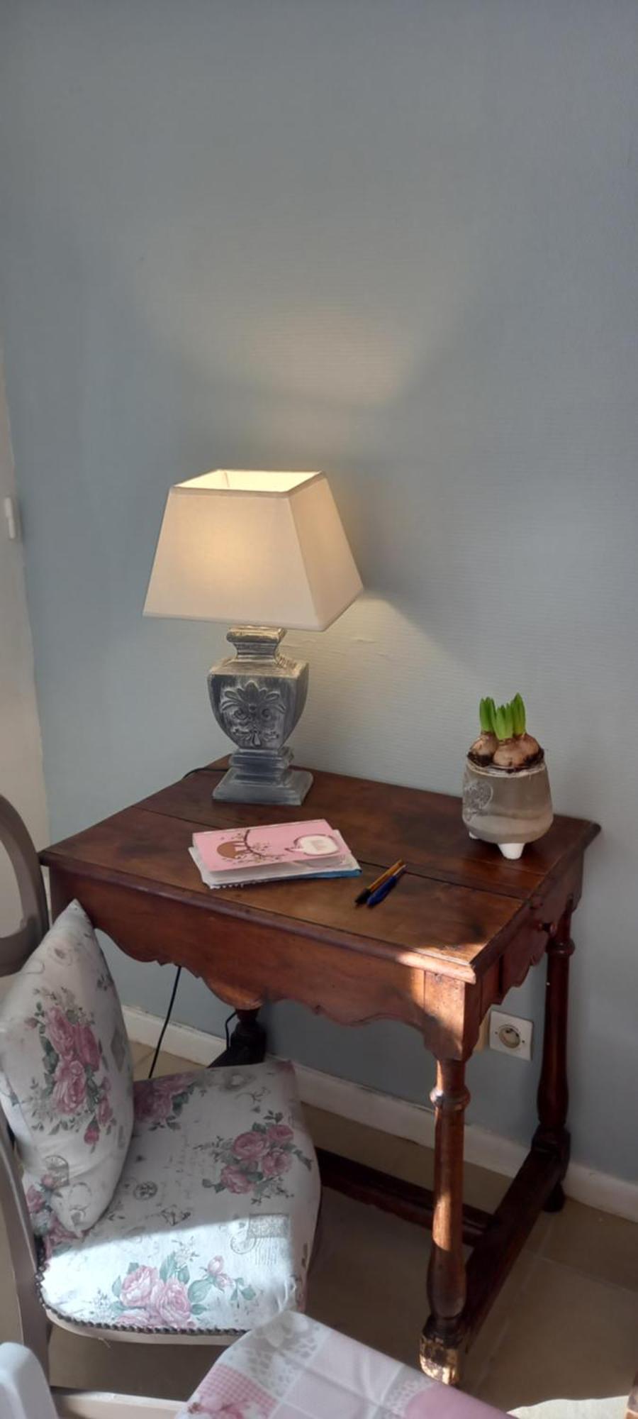 Les Demeures De La Laigne Bed and Breakfast Allas-Bocage Exteriör bild